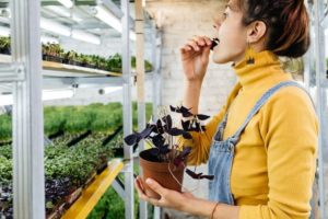 women eating micros